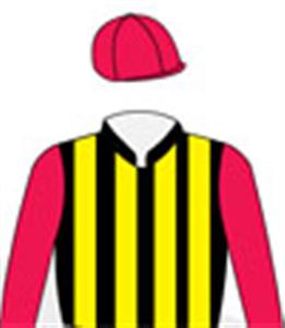 Black & yellow stripes, red sleeves & cap