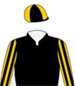 Black, gold striped sleeves, black & gold quartered cap