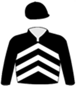 Black, white chevrons, black sleeves & cap