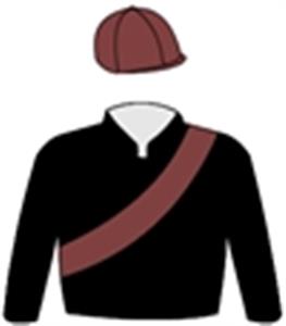 Black with brown sash, black sleeves & brown cap