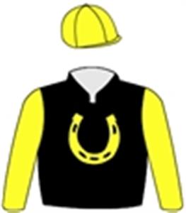 Black, yellow horseshoe, sleeves & cap
