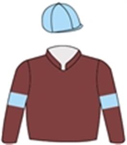 Brown, light blue armbands & cap