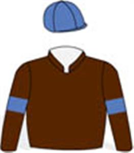 Brown, mauve arm bands & cap