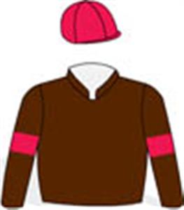 Brown, red arm bands & cap