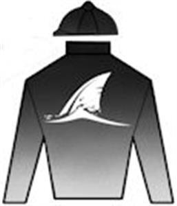 Charcoal to silver gradient, white shark fin, charcoal cap