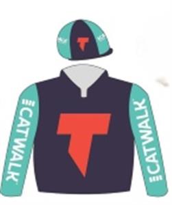 Dark blue, red logo, turquoise sleeves with white logo