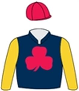 Dark blue, red shamrock, gold sleeves, red cap