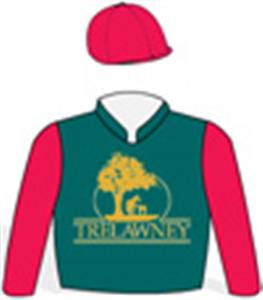 Dark green, gold stylized logo, red sleeves & cap