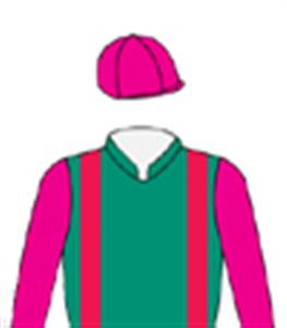 Emerald green, red braces, pink sleeves & cap