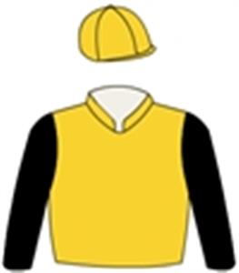 Gold, black sleeves, gold cap