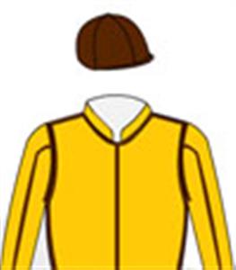 Gold, brown seams (body & sleeves) & cap