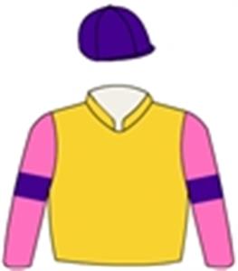 Gold, pink sleeves, purple arm band & cap