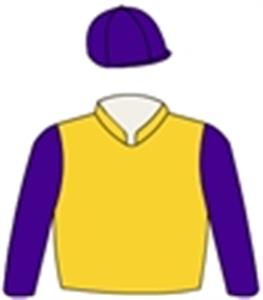 Gold, purple sleeves & cap with gold pompom