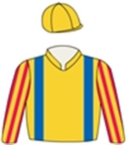 Gold, red striped sleeves, royal blue braces, gold cap