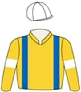 Gold, royal blue braces, white arm bands & cap