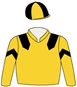 Gold, black epaulettes & chevrons on sleeves, quartered cap