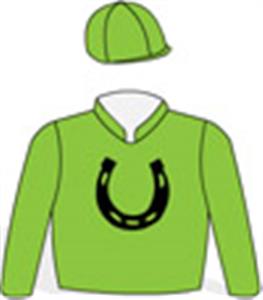 Lime green, black horseshoe, lime green cap