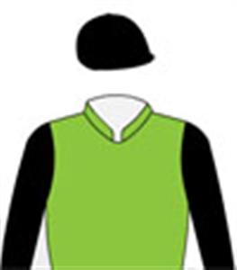 Lime green, black sleeves & cap