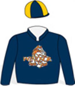 Navy blue, gold stylized logo, navy blue & gold quartered cap