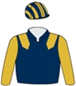 Navy blue, old gold epaulettes & sleeves, striped cap