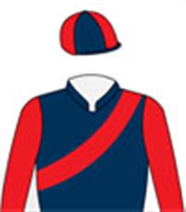 Navy blue, scarlet sashes & sleeves, quartered cap