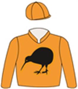Orange, black kiwi (b&f), orange sleeves & cap