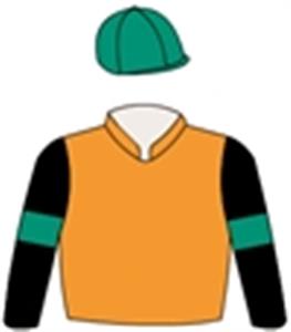 Orange, black sleeves, emerald green armbands & cap