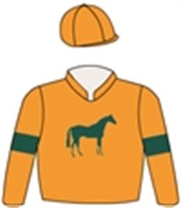 Orange, dark green knight (b&f) & armbands, orange cap