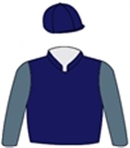 Oxford blue, steel grey sleeves & oxford blue cap