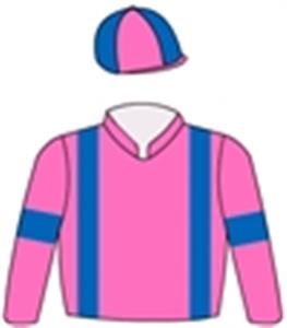 Pink, royal blue braces, armband & quartered cap