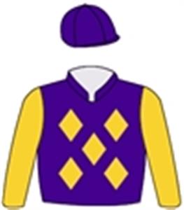 Purple, gold diamonds & gold sleeves, purple cap