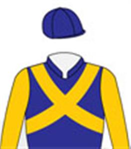 Purple, gold sleeves & crossed sashes, purple cap