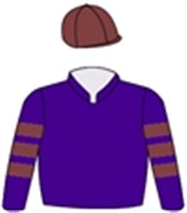 Purple, purple & brown hooped sleeves, brown cap