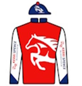 Red, white logo, white sleeves with logo, navy blue cuffs, collar & cap