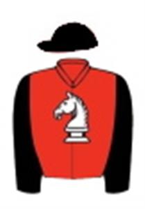 Red with white knight, black sleeves & cap