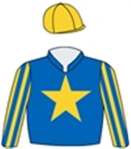 Royal blue, gold star, striped sleeves, gold cap