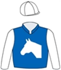 Royal blue, white horsehead, white sleeves & cap, royal blue pom pom