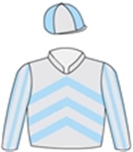 Silver grey, light blue chevrons, striped sleeves, quartered cap