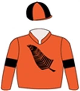 Tangerine, black fernleaf, bands & quartered cap