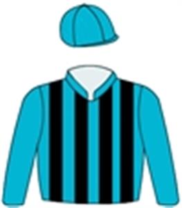 Turquoise & black stripes, turquoise sleeves & striped cap