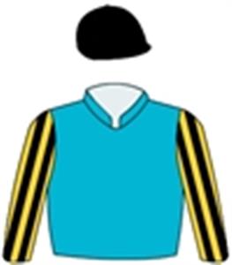 Turquoise, black & gold striped sleeves, black cap