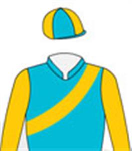 Turquoise, gold sash & sleeves, quartered cap