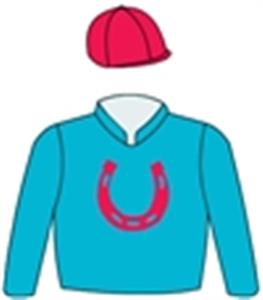 Turquoise, red horseshoe & cap