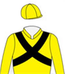 Yellow, black crossed sashes & yellow cap