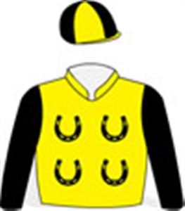 Yellow, black horseshoes & sleeves, quartered cap