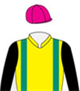 Yellow, emerald green braces, black sleeves & pink cap