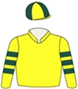 Yellow, dark green hooped sleeves & quartered cap