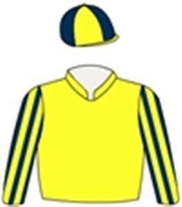 Yellow, navy blue striped sleeves, quartered cap