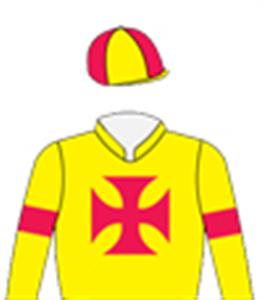Yellow, red Maltese Cross, armbands & quartered cap