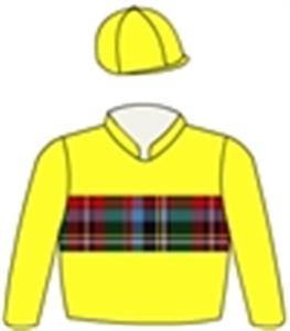 Yellow, Cameron of Erracht tartan band, yellow cap